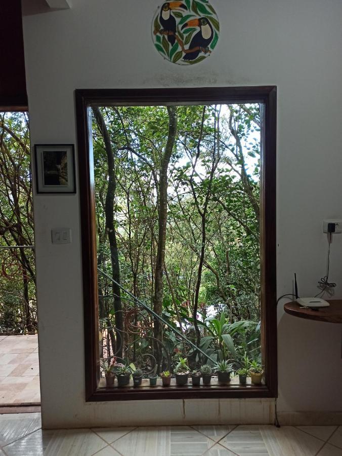 Casa Da Mata Descanso E Sossego Na Natureza Ibicoara Exterior foto